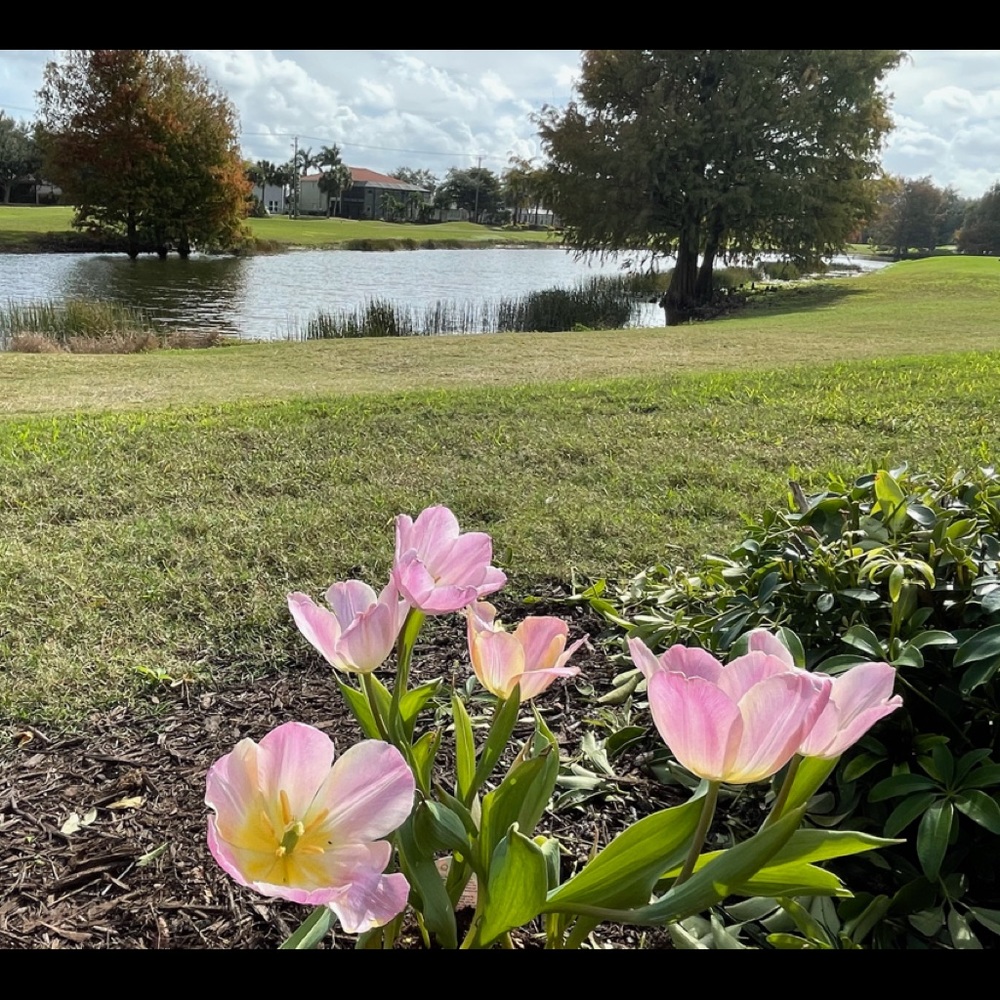 Meet your Posher, Eb